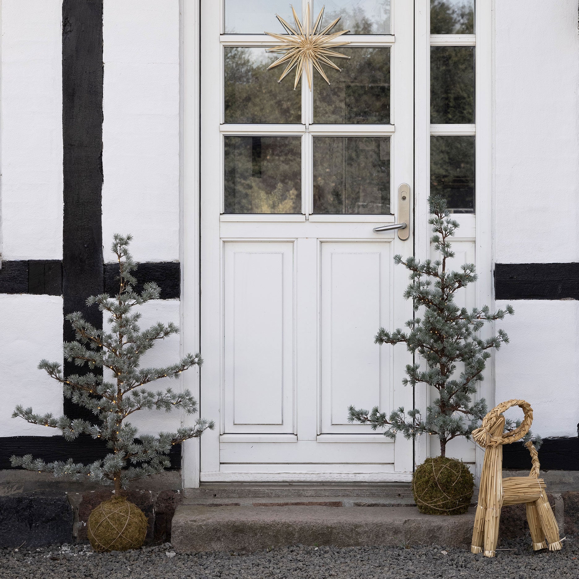 Festive Zedernbaum mit LED